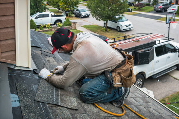 Professional Roofing technician working in Hillsdale, IL